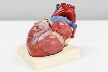 22 Best Ways To Boost Heart Health