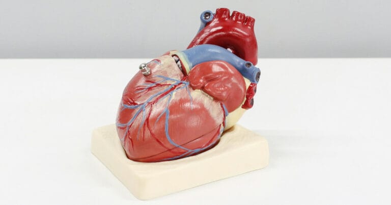 22 Best Ways To Boost Heart Health