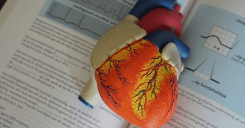 Powerful Ways To Boost Heart Health Powerful Ways To Boost Heart Health