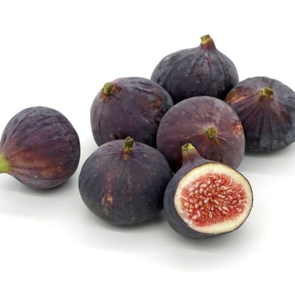 ## **Introduction** Figs Fruit are oblong or pear-shaped fruits that are syconium. They are mainly the edible fruit of a widely cultivated tree (Ficus carica) with laxative qualities. Figs are a unique fruit that is similar to a teardrop. They’re about the size of the thumb, filled with thousands of tiny seeds, and have an edible green or purple peel. The fruit’s flesh is pink and has a sweet, mild taste. The research base name for the fig is Ficus carica*.* Figs fruit is also known as ‘anger/anjeer’ in Hindi. Today, figs are grown worldwide in countries with dry and warm climates. Figs are frequently known as a fruit but are a type of flower. Calimyrna figs are not only delicious but also nutritious. They are rich in vitamins, calcium, phosphorus, and iron, providing ample energy. Moreover, they are easy to digest and a good source of natural fibre. !https://relitehealth.in/wp-content/uploads/2024/07/Figs-Fruit-and-Dried-Figs.jpg ## **Figs Fruit and Dried Figs** Choosing fresh or dried figs depends on a person’s tastes, preferences, and circumstances. Dried figs contain more calories, sugar, dietary fibre, minerals, and vitamins than fresh figs fruit. Fresh figs will have more vitamin A, vitamin C, and beta-carotene. Moreover, dry figs are nothing like fresh figs and tend to be sweeter and chewier. Nutritious and loaded with taste, dry figs fruit provide various health benefits. Dry fig fruit benefits our body by promoting healthy Digestion, lowering heart disease risks, and helping regulate our sugar levels. ## **What do figs taste like** All figs fruit have a jam-like quality and taste like a mix of strawberry, currant, and date. Notes of honey, flowers, and nuts underline these flavours. Figs fruit taste like a mix of berries, dried fruits, melons, and sugar flavours. I’ve eaten figs that taste like cherries, strawberries, or raspberries, while others taste like dates, raisins, brown sugar, or even honey. !https://relitehealth.in/wp-content/uploads/2024/07/Figs-fruit-benefits.jpg ## **Figs fruit benefits** 1. **Improve Digestion:** Since figs are rich in dietary fibre, they help make Digestion smoother and regular. They also help keep constipation and other digestive problems at bay and help maintain a healthier gut. 2. **Improves Heart Health: Here’s** a natural way to improve cardiovascular health and regulate blood pressure. Fresh anger has potassium and magnesium, which can help reduce the risk of heart stroke and improve overall health. 3. **Helps in Weight Loss:** You can harness the benefits of figs for weight loss and maintaining a healthy weight, as this fruit promotes satiety and makes you feel less hungry. Its low-calorie content makes it a nutritious snack for those watching their calorie intake. 4. **Enhances Bone Health:** Dry figs help strengthen bones. Thus, regular consumption of anjeer can lower one’s risk of bone-related disorders. 5. **Controls Blood Sugar** The soluble fibre content in anjeer dry fruit benefits your blood sugar by slowing down the soaking of sugar in the bloodstream and reducing the risk of type two diabetes. Thus, figs are an excellent addition to the daily diet and can help you lead a healthier life. 6. **Boosts Immune System:** Another significant benefit of eating anjeer is that it can help boost the immune system and help your body fight against multiple infections and diseases. The high content of minerals and vitamins helps the body defend against infections and illnesses. !https://relitehealth.in/wp-content/uploads/2024/07/Improves-Skin-Health.jpg 7. **Improves Skin Health:** The antioxidants present in dry anjeer benefit your skin and help delay the signs of ageing, such as wrinkles and fine lines. The vitamins inside fig fruit also help combat oxidative stress and reduce inflammation to promote healthier-looking skin. 8. **Cures Respiratory Problems:** Another benefit of eating figs is that they support respiratory wellness. Figs help hydrate the respiratory system, reduce cough, and soothe a sore throat and other lung obstructions. 9. **May Treat Insomnia:** Try dried figs for insomnia or sleeping disorders. The fruit of figs contains tryptophans, which can induce sleep by improving blood circulation. 10. **May Help Treat Alzheimer’s Disease:** According to Multiple Studies, regularly consuming dried figs can help treat neurodegenerative conditions like Alzheimer’s. This is because eating figs fruit benefits neurological health by easing neuroinflammation and reducing anxiety. !https://relitehealth.in/wp-content/uploads/2024/07/Figs-fruit-benefits-for-male.jpg ## **Figs fruit benefits for male** Regular consumption of anjeer benefits men’s sexual health and also contributes to their muscle strength. Nutrients like zinc, magnesium, and vitamins can help improve sperm count and motility and protect against prostate-related issues. Thus, the benefits of anjeer for males make it a worthy addition to their health regimen. !https://relitehealth.in/wp-content/uploads/2024/07/Figs-fruit-benefits-for-female.jpg ## **Figs fruit benefits for female** They are consuming soaked anjeer benefits female hormone levels, especially during hormonal fluctuations such as menstruation and menopause. Since figs are also a good source of calcium, they help with low bone density, a common problem many women face. Moreover, some considerable benefits of figs in pregnancy make them a superfood for expecting mothers. ## **Figs fruit benefits for children** Figs are a great nutrient and fibre source that can assist the baby in growing and developing. They are also an antimicrobial agent that can help build the child's immune and digestive systems. Ripe figs have large quantity of dietary fibre, which may help with constipation. Figs have been known as a natural laxative from the time they are high in fibre. It has a lot of minerals and nutrients that can help the child grow and develop well. Minerals like iron, copper, magnesium, potassium, and calcium are essential for infants since their bodies are rapidly expanding—and figs can provide them in adequate quantities. Infants are receptive to a lot of infections and conditions like hepatitis and jaundice. Figs can give sufficient protection in this case – even doctors sometimes prescribe dried fig recipes for babies. Figs are also an antimicrobic agent, which can assist in the development of the immune system of the child. They are beneficial for the baby's digestive system. !https://relitehealth.in/wp-content/uploads/2024/07/How-to-eat-figs-fruit-and-add-figs-fruit-to-diet.jpg ## **How to eat figs fruit and add figs fruit to diet** There are some ways to add figs to your diet, each with its possible benefits. Here are the four main ways to include figs in the diet: - **Fresh figs**: ****Fresh figs are very low in calories and make a great snack. They’re also an excellent addition to desserts or salads. You may also make fig jam or preserves with fresh figs. - **Dried figs** have high sugar levels and calories, so they should be eaten in self-restraint. However, they may be more effective at treating constipation than fresh figs. - **Fig leaves:** Although they may be hard to find outside speciality grocers, fig leaves are nutritious and can be used in various ways. Like grape leaves, they’ve often been used as wraps for dishes containing meat, rice, or more fillings. - **Fig leaf tea:** Fig leaf tea is made from dried fig leaves. You may make it yourself or purchase premade fig leaf teas online or in speciality stores. You can enjoy figs in various ways, but due to their high level of sugar content, you should only eat dried figs in self-restraint or use them as an occasional home treatment for constipation. !https://relitehealth.in/wp-content/uploads/2024/07/How-are-figs-made-and-when-are-figs-in-season.jpg ## **How are figs made, and when are figs in season** A fig is the stem of a very enlarged and fleshy inflorescence surrounding the tiny flowers inside. The crunchy little things you notice when eating a fig are the seeds, each corresponding to one flower. Such a unique flower requires a unique pollinator. Figs are typically in season from mid-May across November. Some varieties (like Black Mission) have two seasons: the early summer season produces fruit on old tree branches, and the late summer/fall season produces fruit on new branches. ## **Downside** **Digestive symptoms** Eating too many figs can lead to a high fibre intake, which may cause gas, bloating, and diarrhoea. Also, eating too many figs may prevent some minerals from going out of balance. So, eat figs in moderation. **Allergic Reactions and Sensitivities** People allergic to birch pollen or latex may also be allergic to figs. If you notice itching, burning, or swelling in your mouth or throat after eating figs, you might be allergic to them. Stop eating them and seek medical help immediately. **The Caloric Content and Weight Gain** Dried figs fruit are higher in sugar and calories, so if you watch your weight, consume them in moderation. **Interactions with Medications** Figs are high in vitamin K, which aids normal blood clotting. However, this vitamin can interact with certain blood-thinning drugs. Discuss this with your doctor before adding figs to your diet if you are taking such medicines. ## **Conclusion** Figs are rich in anti-inflammatory antioxidants and provide fibre and more minor minerals. They may also support digestive, gut, and menstrual health, improve inflammatory conditions, aid weight management, and offer cancer protection. If you have IBS(Irritable bowel syndrome), latex, or birch pollen allergies, talk with your healthcare provider before incorporating figs into your diet. Moreover, dry figs are nothing like fresh figs and tend to be sweeter and chewier. Nutritious and loaded with taste, dry figs provide various health benefits. Dry fig fruit benefits our body by promoting healthy Digestion, lowering heart disease risks, and helping regulate our sugar levels.