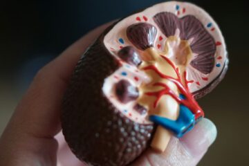 Ultimate Guide: How to Pass a Kidney Stone in 24 Hours