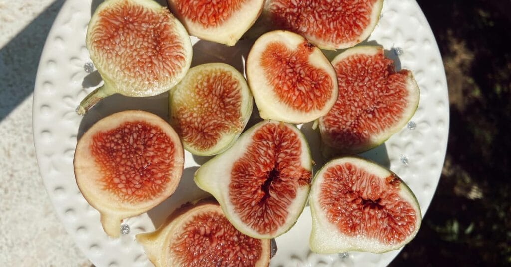 Figs Fruit and Dried Figs Improves Skin Health Figs Fruit and Dried Figs Improves Skin Health