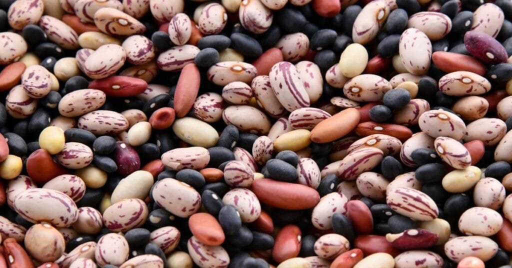 Kidney Beans 101: Nutrition Facts And Effective Health Benefits - The ...