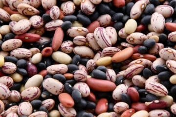 Kidney Beans 101: Nutrition Facts and Effective Health Benefits