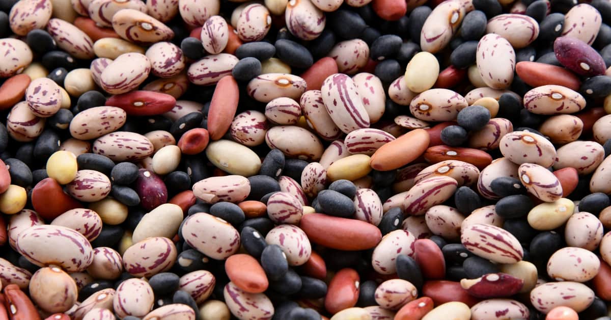 Kidney Beans 101: Nutrition Facts and Effective Health Benefits