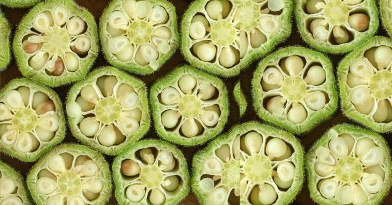 Okra Water: Incredible 12 Benefits