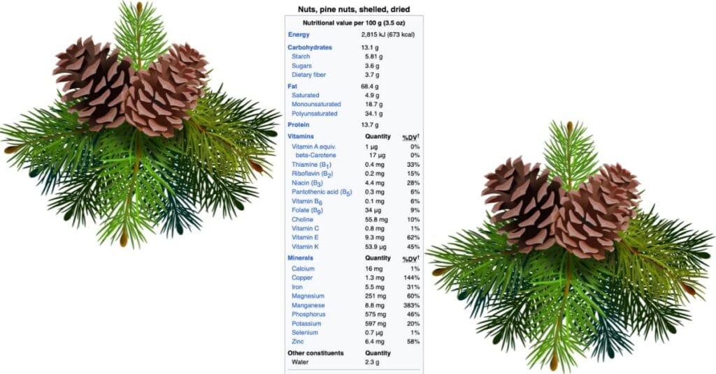 Pine nuts nutrition Pine nuts nutrition