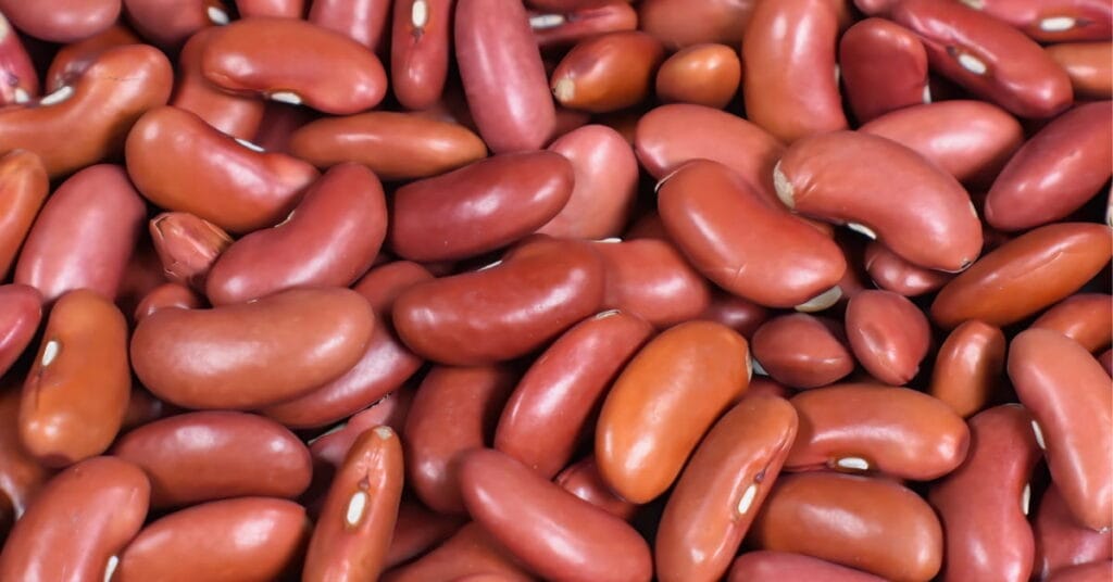 kidney beans kidney beans
