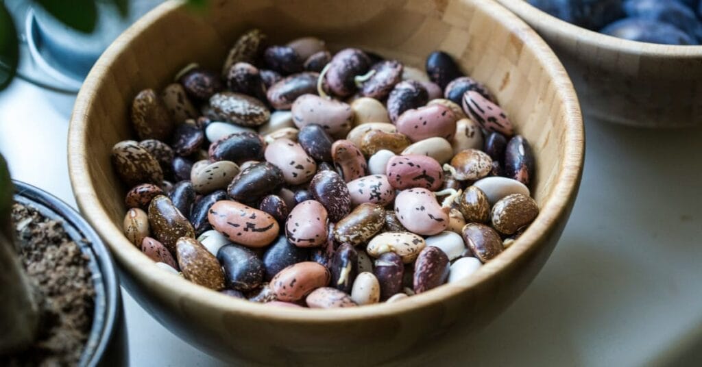 kidney beans Benefits kidney beans Benefits