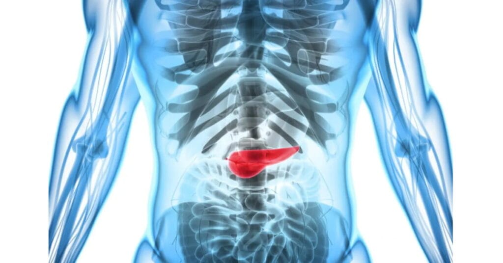 7 symptoms of pancreas problems 7 symptoms of pancreas problems