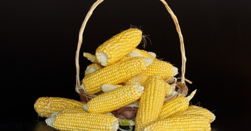 Corn starch vs Corn flour Corn starch vs Corn flour