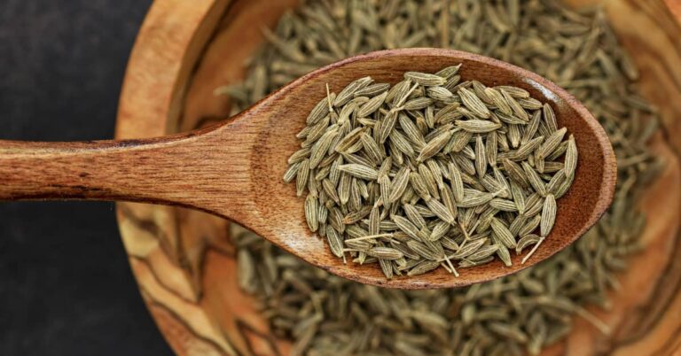 Cumin Seeds: 13 Powerful Benefits