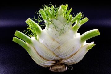 Fennel: Nutrition, 15 powerful benefits, Recipes