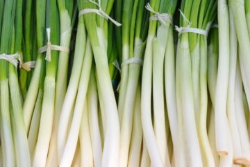 Green Onion:10 powerful Benefits and Nutrition