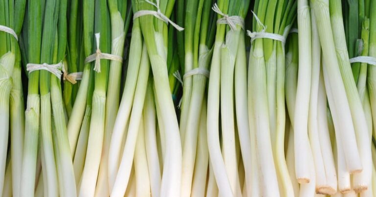 Green Onion:10 powerful Benefits and Nutrition