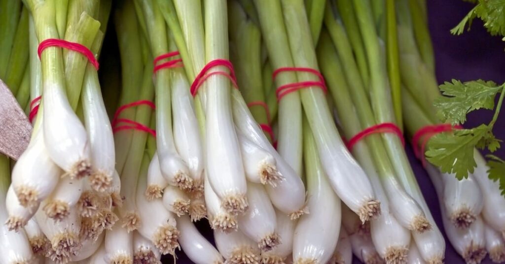 Green onion