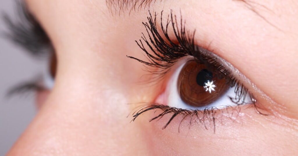 Green-onion-Boosts-Eye-Health Green-onion-Boosts-Eye-Health