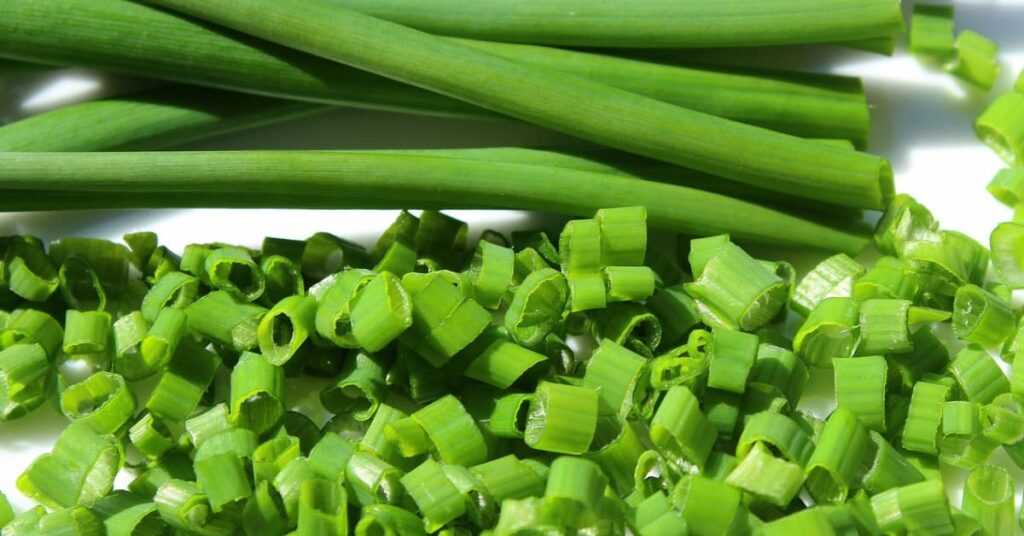 Green onion vs chives Green onion vs chives