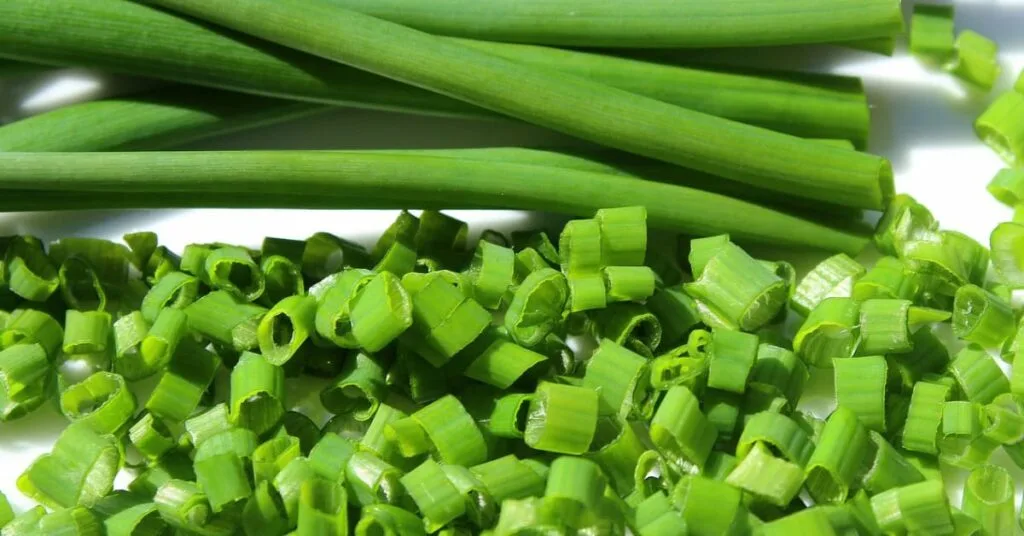 Green onion vs chives Green onion vs chives