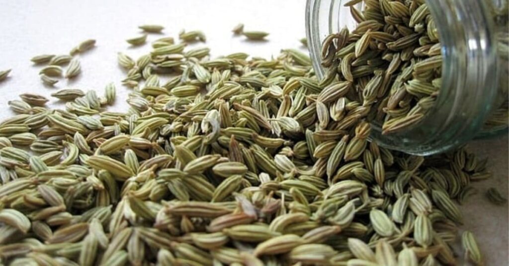 Health Benefits of Fennel Seeds Health Benefits of Fennel Seeds