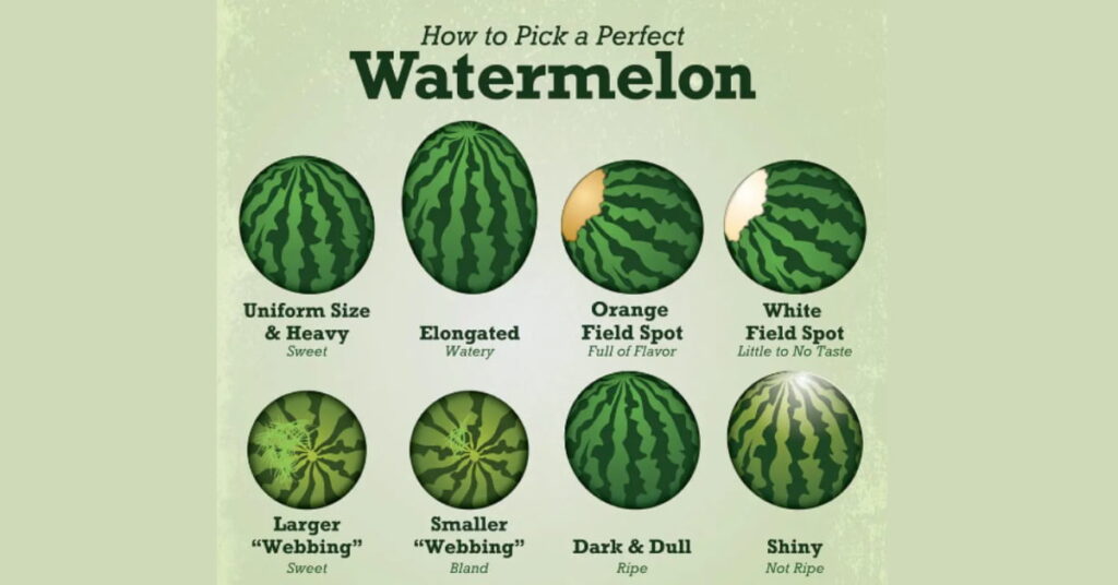 How to pick a good watermelon How to pick a good watermelon