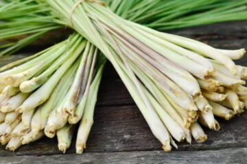 Lemon Grass: Powerful Nutrition, 9 Incredible Benefits, Side Effects, and Tea