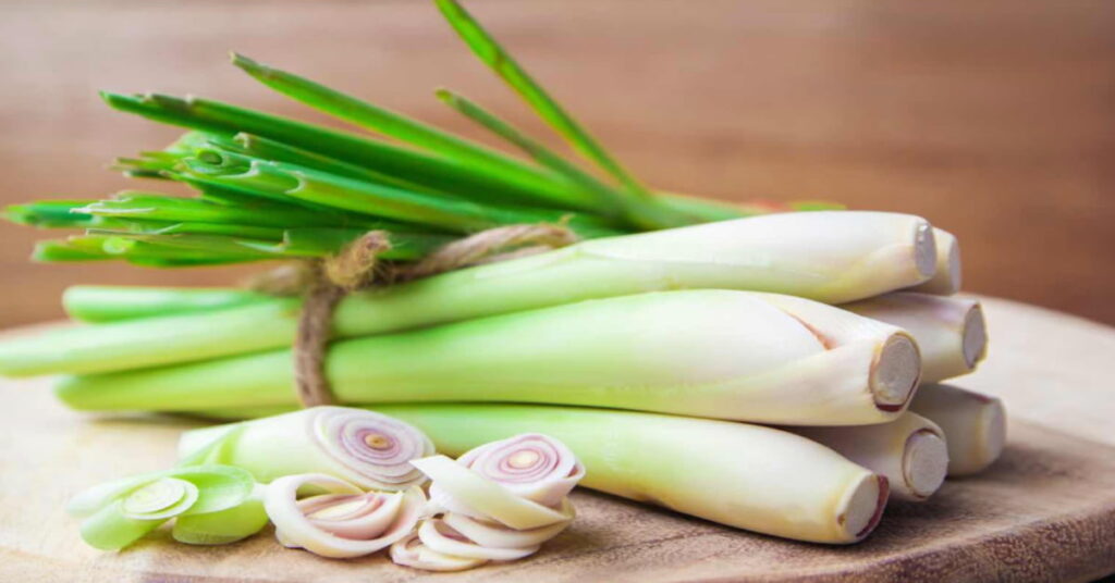 Lemon grass Benefits Lemon grass Benefits