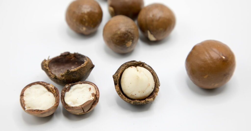 Macadamia nuts Macadamia nuts