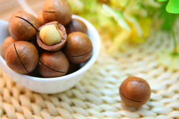 Macadamia nuts:12 powerful benefits of Macadamia nuts