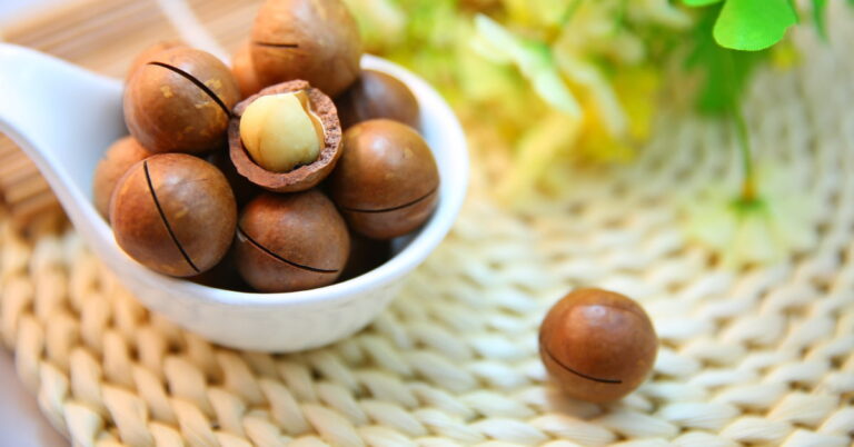 Macadamia nuts:12 powerful benefits of Macadamia nuts