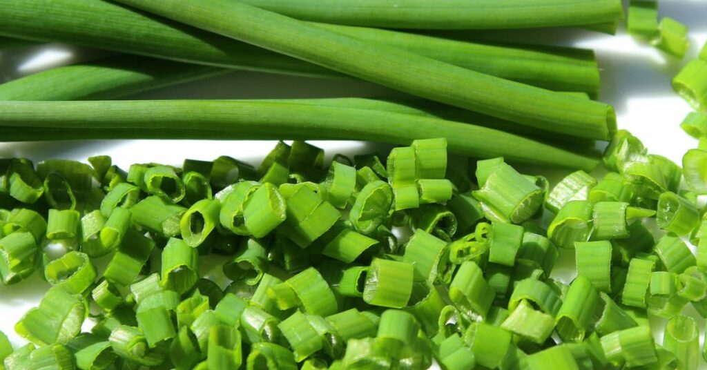 Nutrition Nutrition