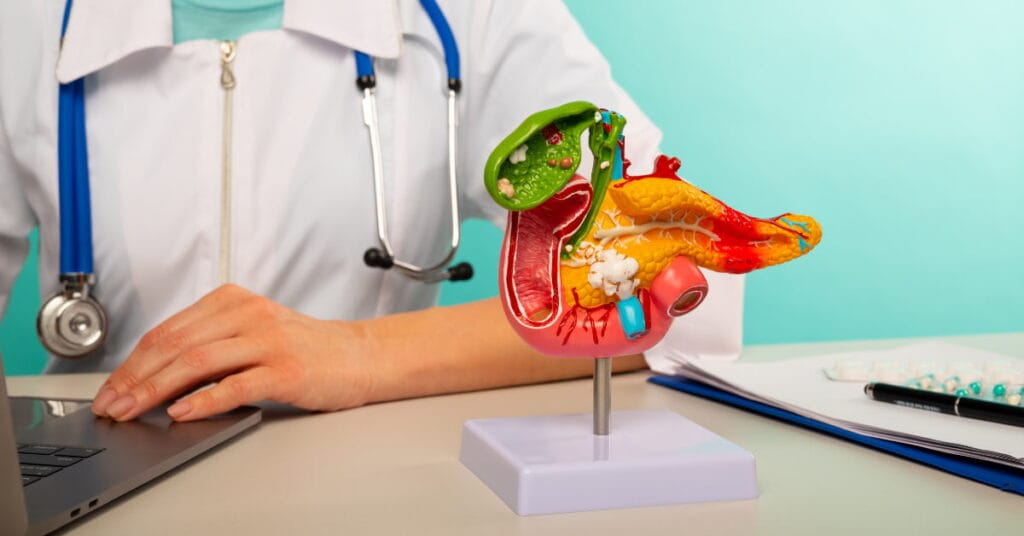 Pancreas Pancreas