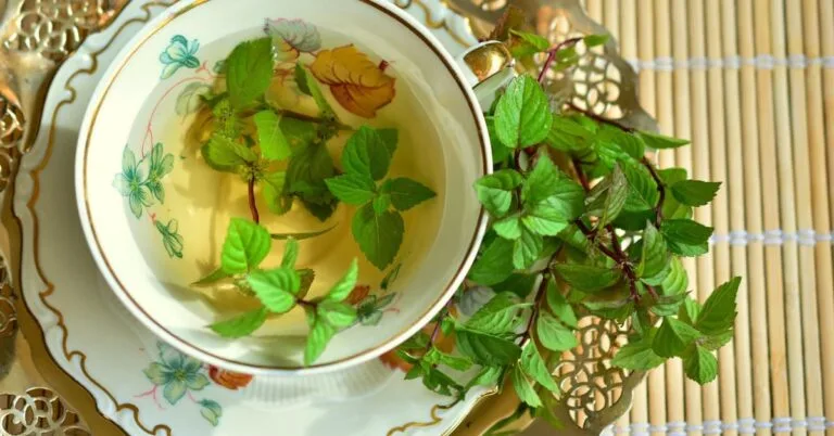 Peppermint Tea: 13 Impressive Benefits