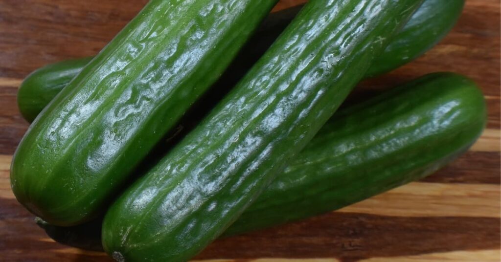 Persian Cucumber Persian Cucumber