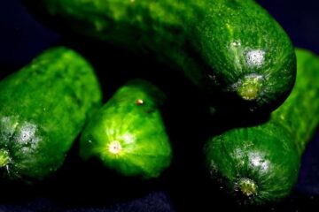 Persian Cucumber: 21 Powerful Advantage