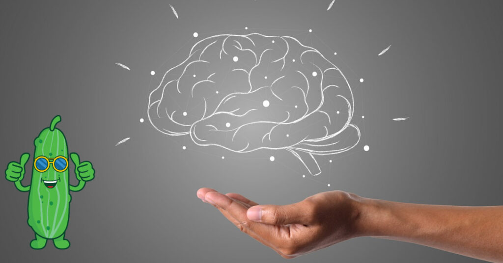 Persian cucumber benefits for Brain Health Persian cucumber benefits for Brain Health