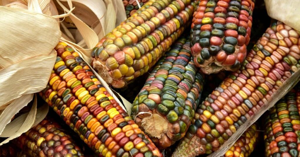 Potential Benefits of Cornstarch Potential Benefits of Cornstarch