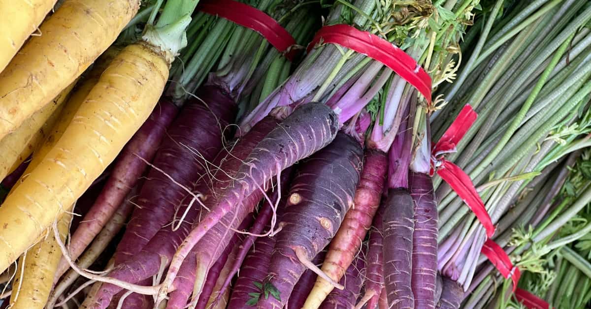 Unleashing the Power of Purple Sweet Potatoes: 9 Incredible Health Benefits