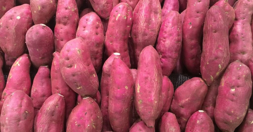 Purple Sweet Potato Purple Sweet Potato