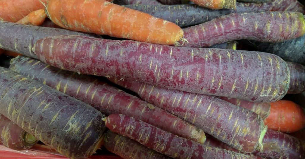 Purple carrot