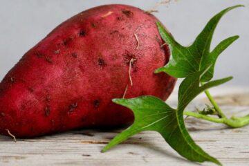 Unleashing the Power of Purple Sweet Potatoes: 9 Incredible Health Benefits