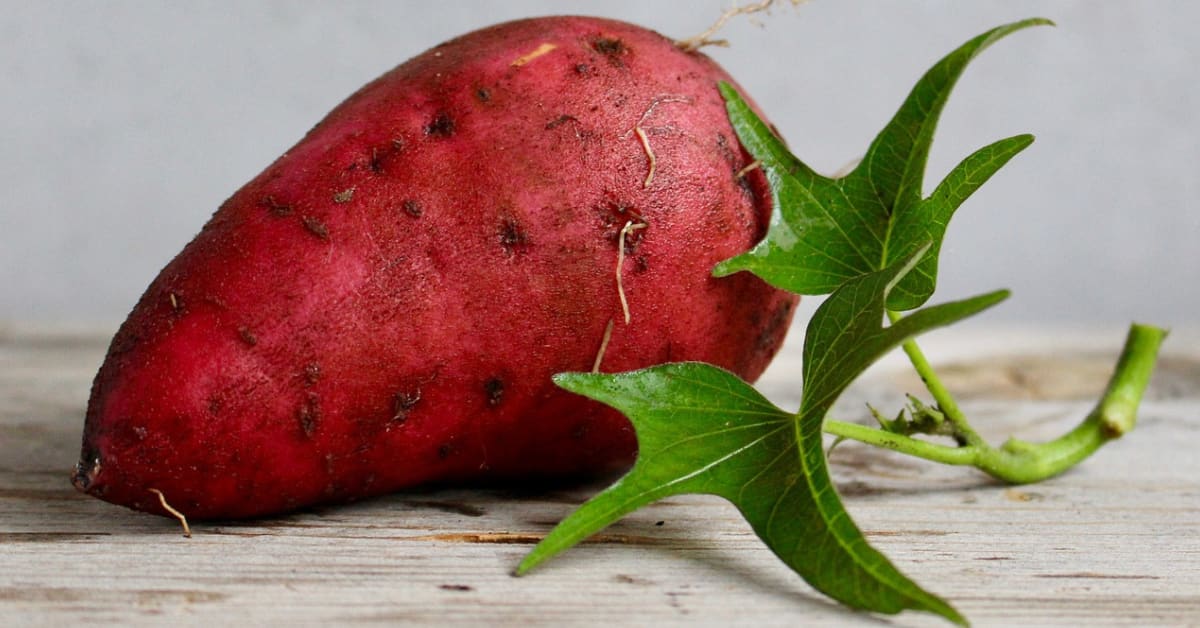 Unleashing the Power of Purple Sweet Potatoes: 9 Incredible Health Benefits