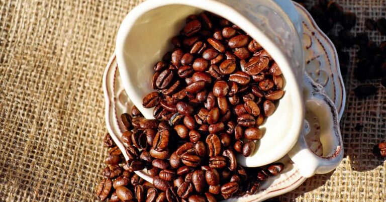Why does coffee make you poop?