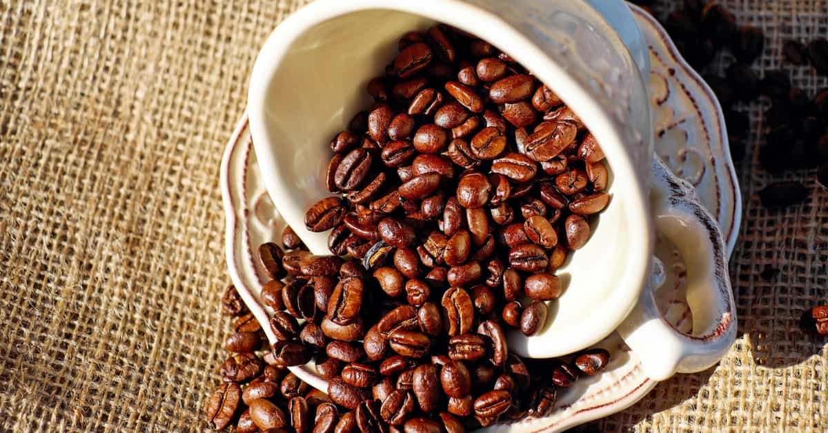 Why does coffee make you poop?