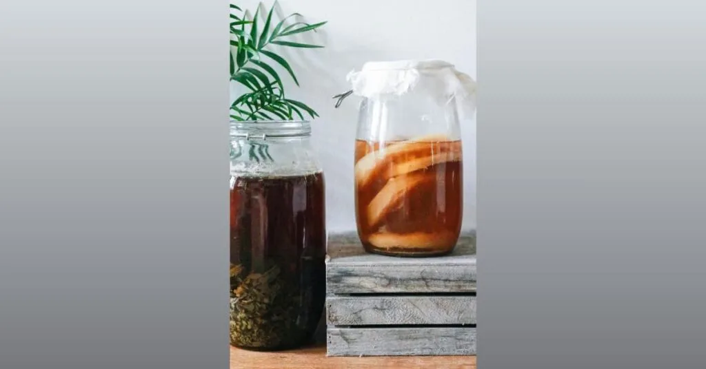 Does Kombucha make you poop? Does Kombucha make you poop?