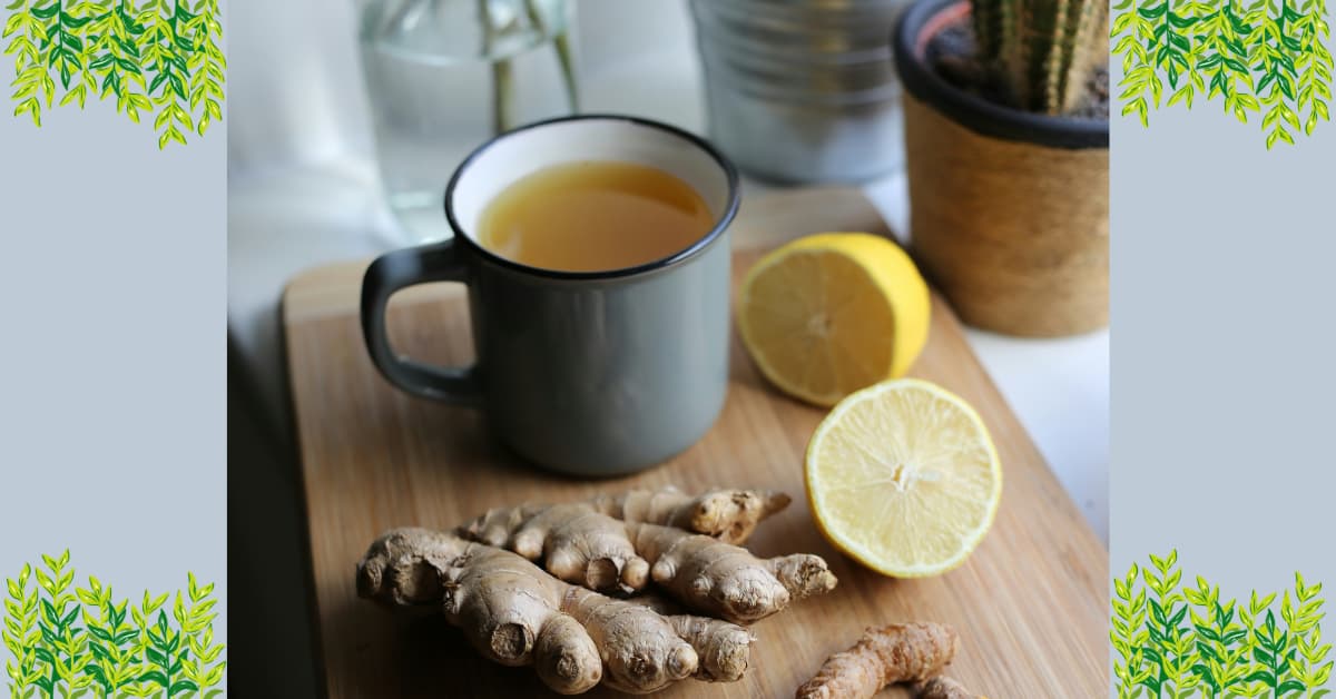 Ginger Tea: 12 Impressive Health Benefits