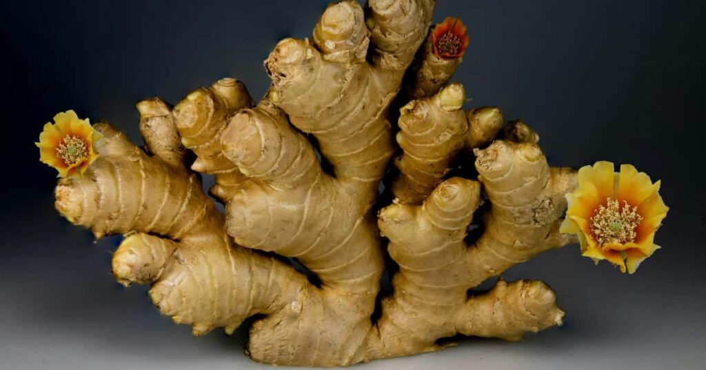 Ginger tea has Anti inflammatory effects Ginger tea has Anti inflammatory effects