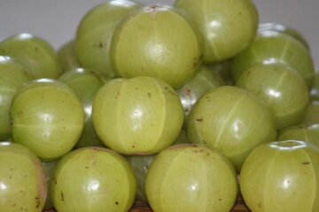 Gooseberry: 9 Impressive Health Benefits