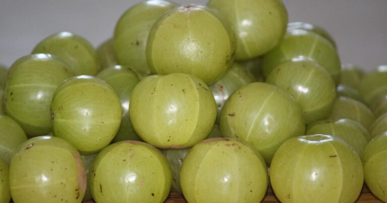 Gooseberry: 9 Impressive Health Benefits