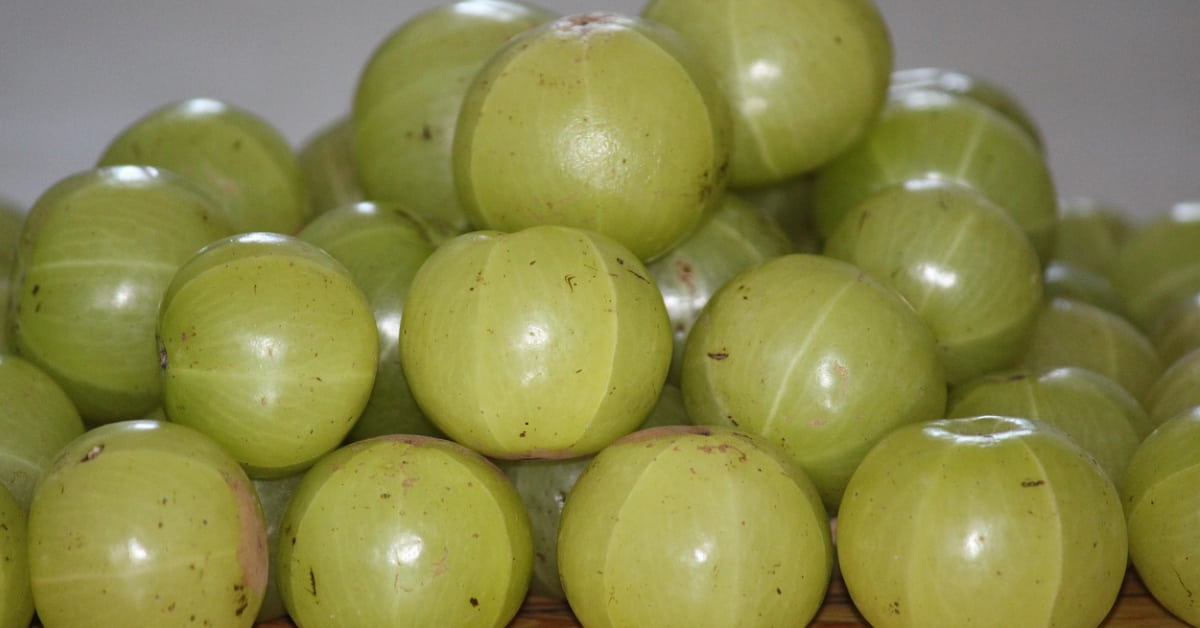 Gooseberry: 9 Impressive Health Benefits